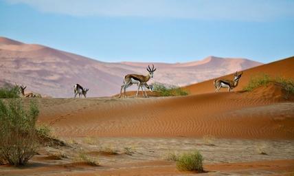 Lüderitz, Namibia