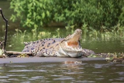 Richards Bay - gateway to Umlalazi Nature Reserve