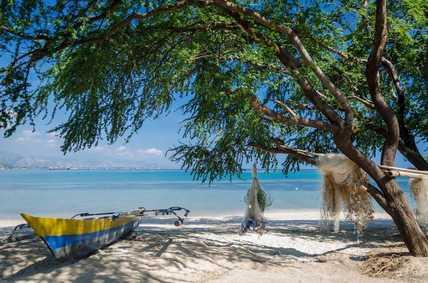 DILI.jpg