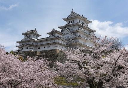 Heritage Castle, Kochi, KJapan