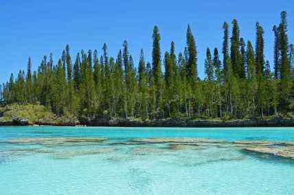 Ile de Pins - New Caledonia.jpg