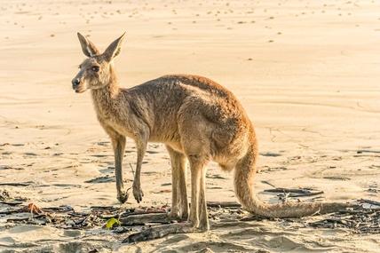 Esperance, WA