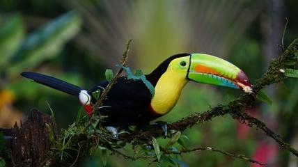 Puntarenas, Costa Rica