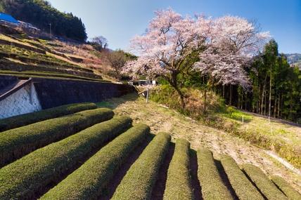 Itinerary image 7