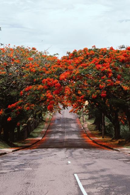 Suva, Fiji