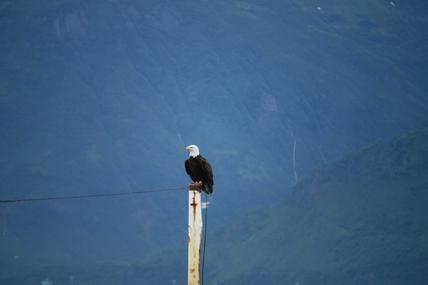 Valdez, Alaska, USA