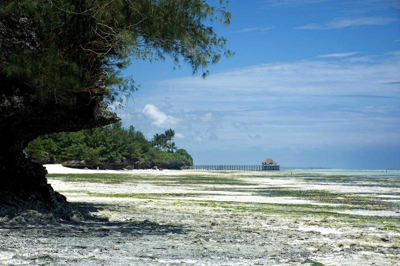 Zanzibar