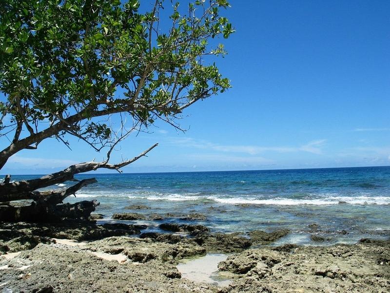 Conflict Island Group