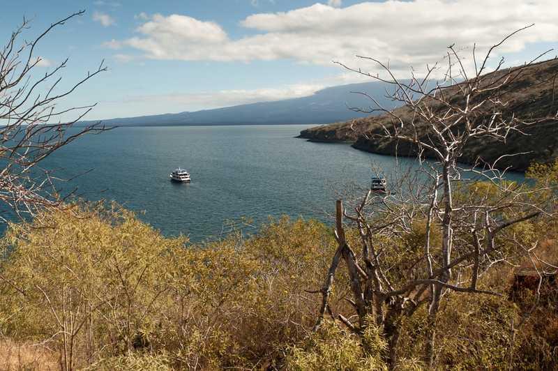 Tagus Cove, Isabella Island, Galapagos