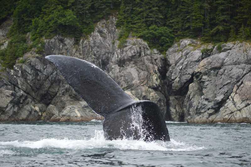 Inian Islands, Alaska