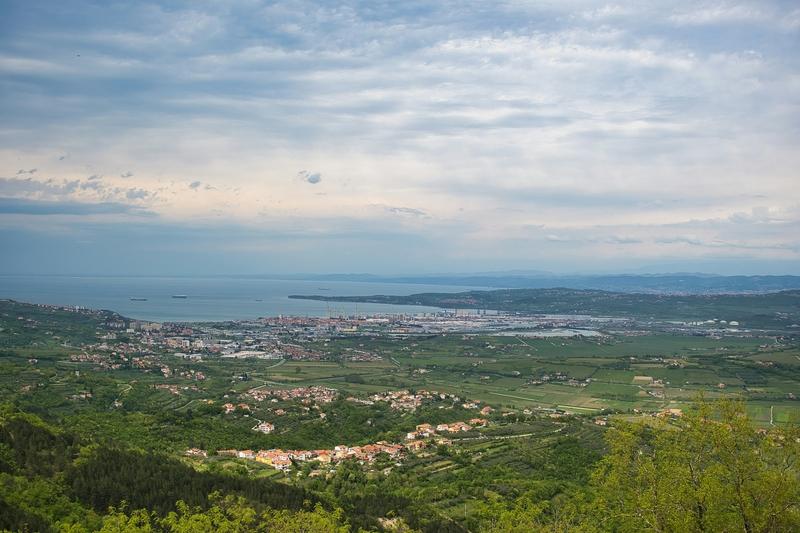 Koper