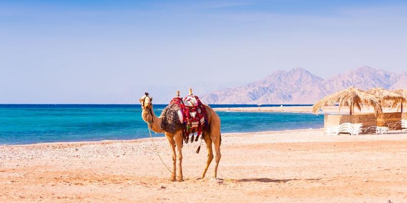 Sokhna
