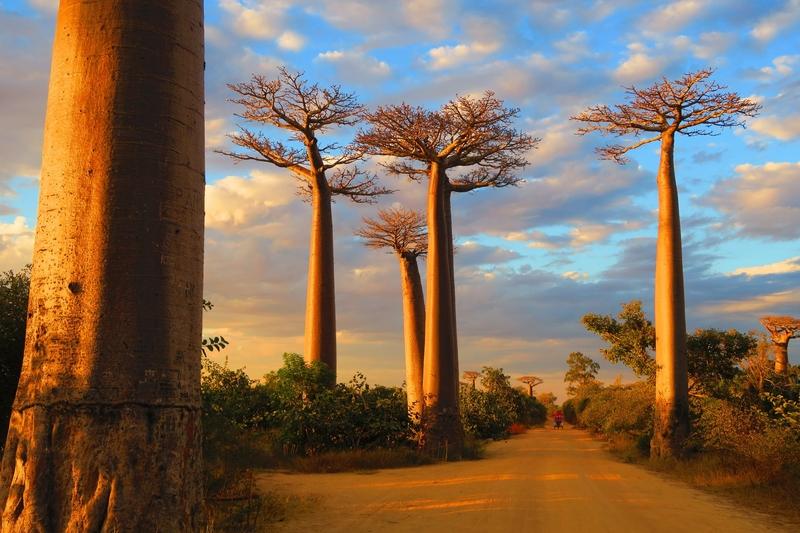 Morondava