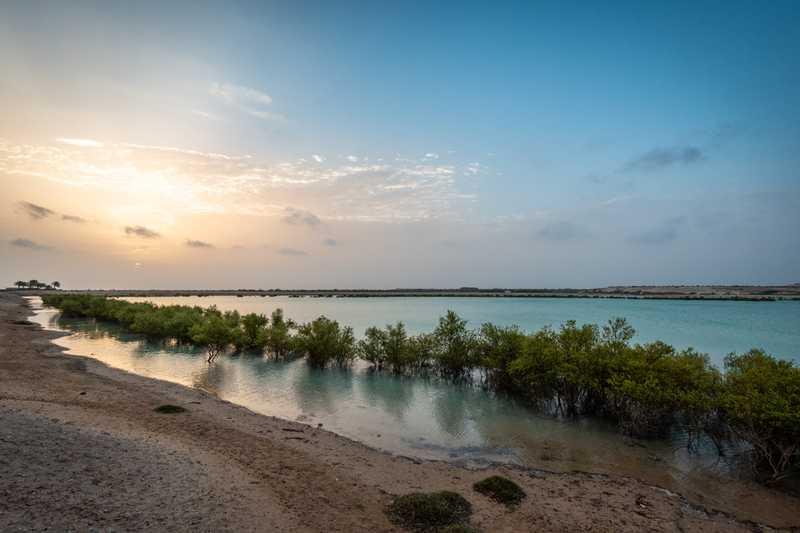Sir Bani Yas Island