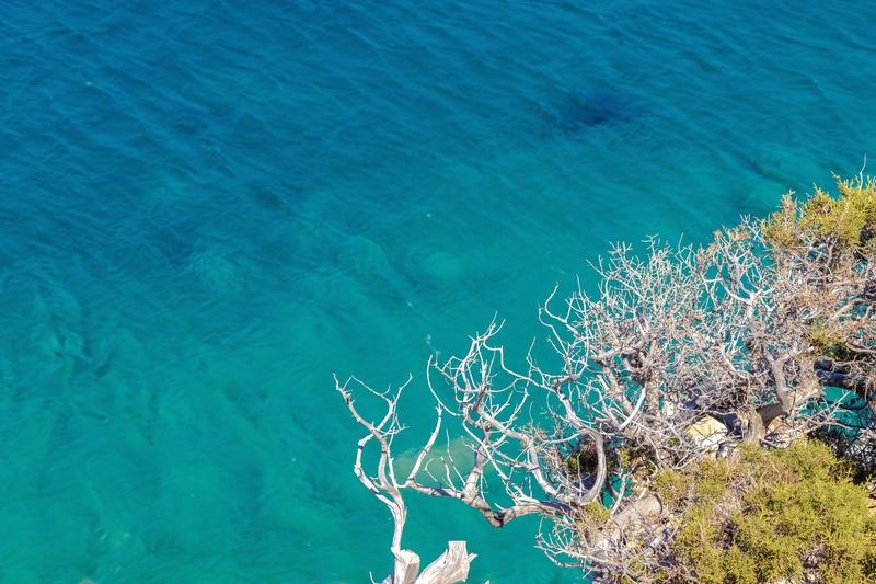 Spetses