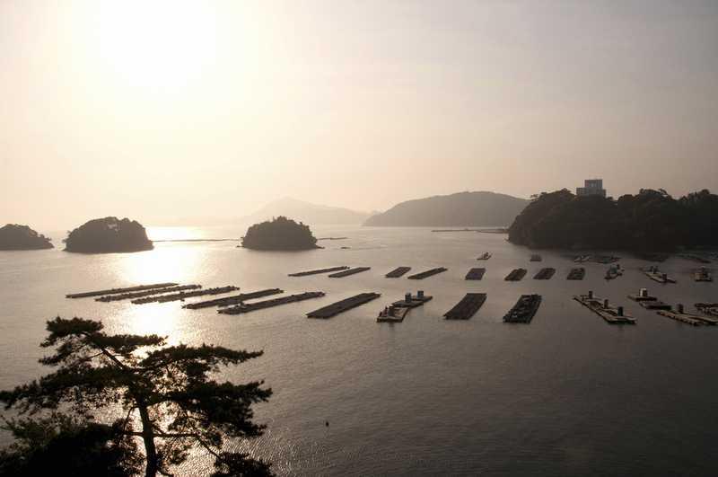 Toba