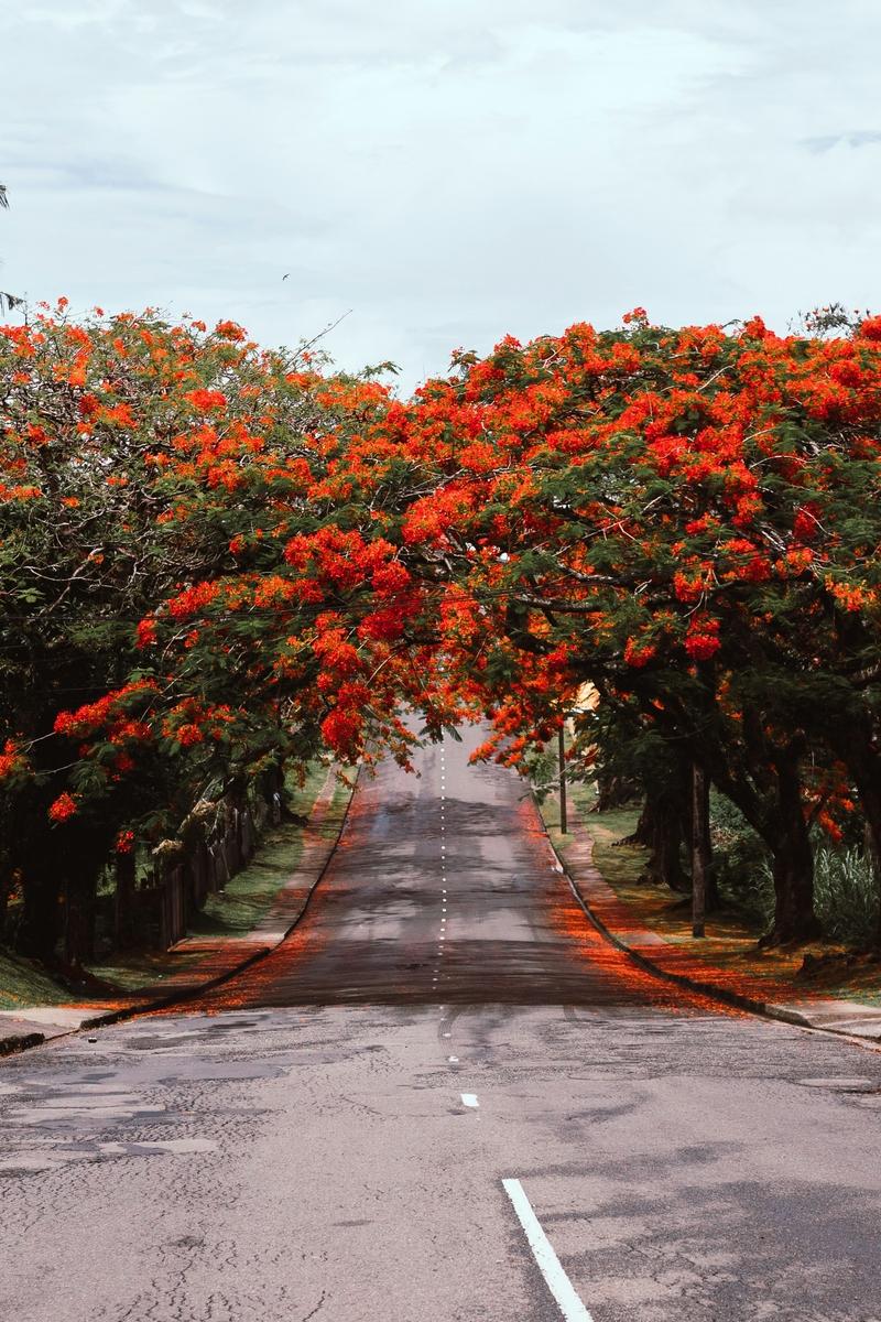 Suva