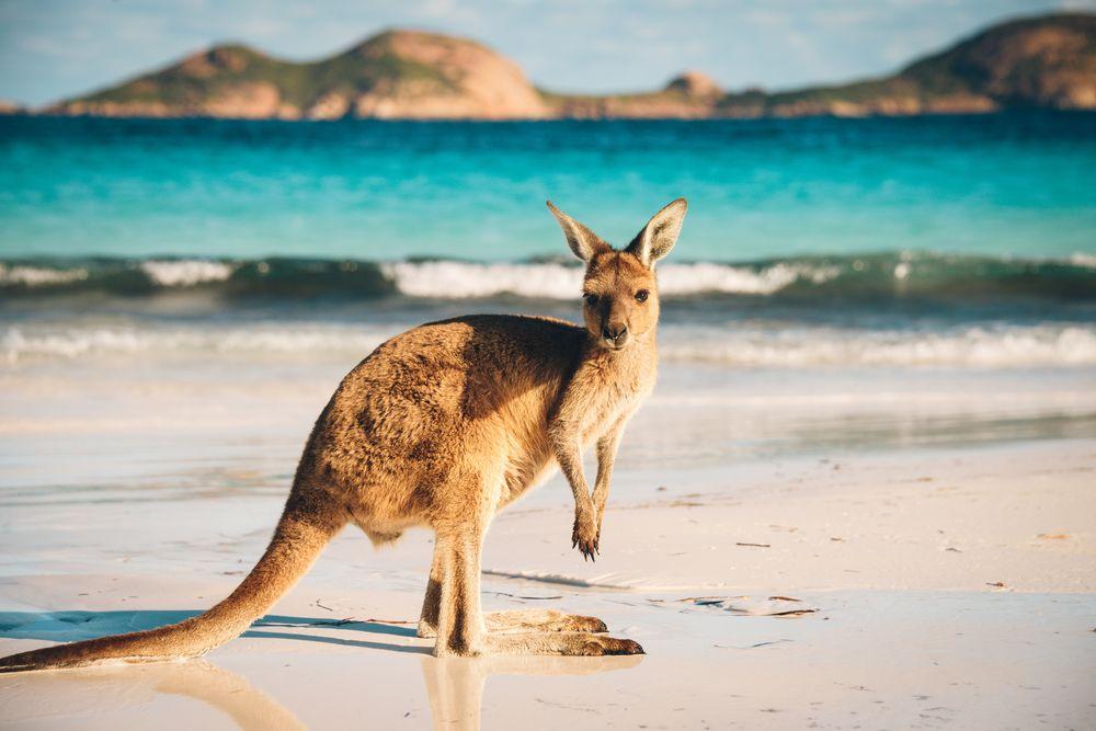 Esperance, Western Australia