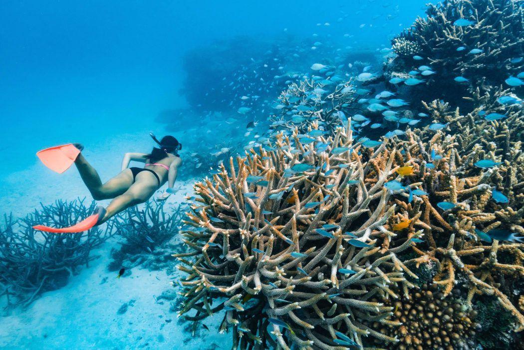 Great Barrier Reef, Queensland