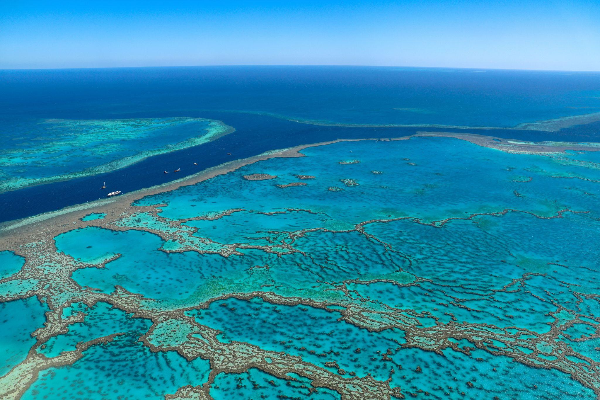 Ribbon Reef, Great Barrier Reef