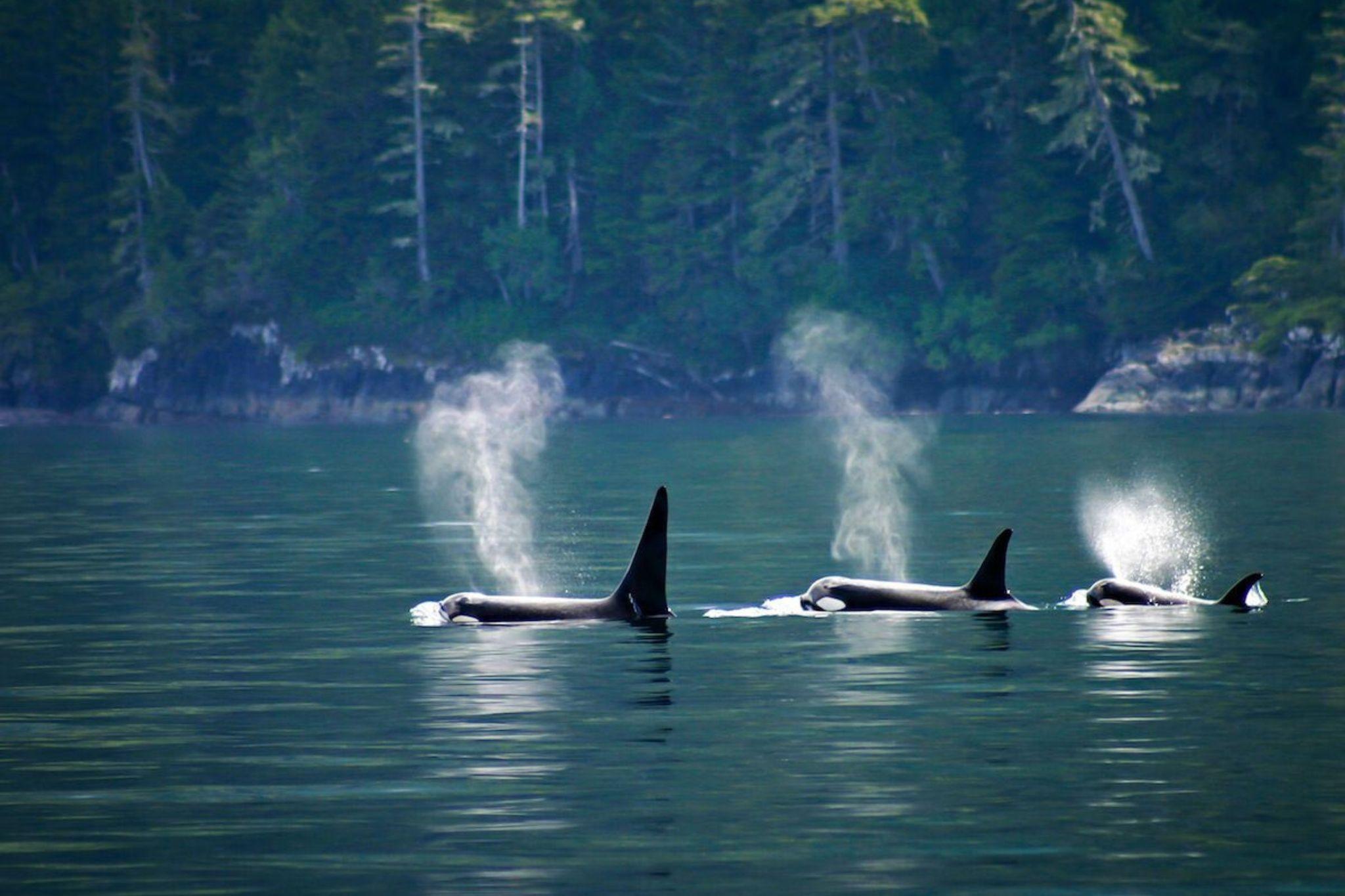 Alert Bay, British Columbia