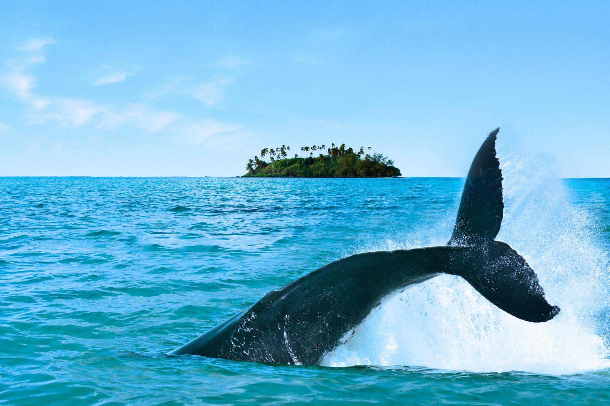 Rarotonga