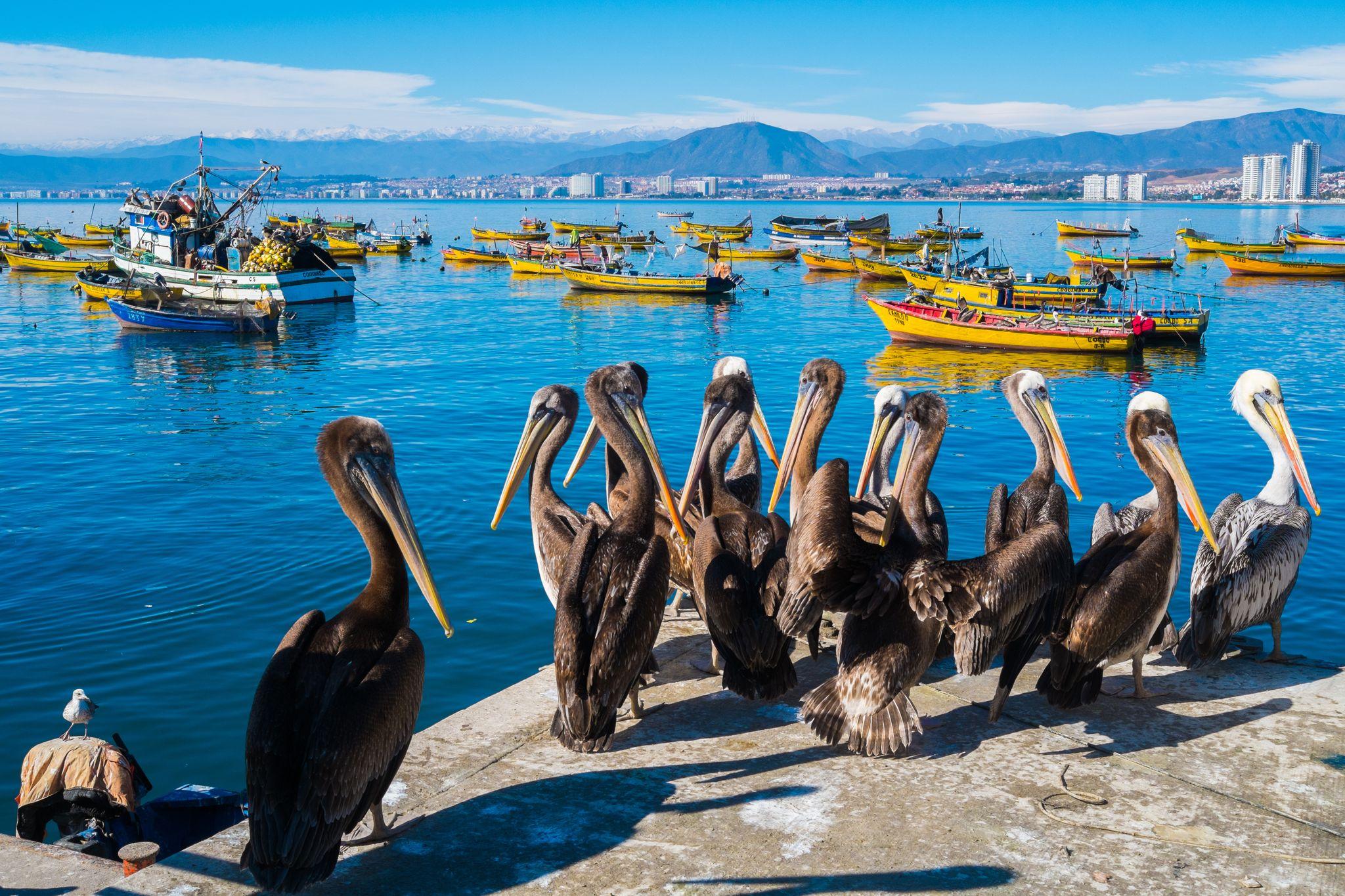 Coquimbo