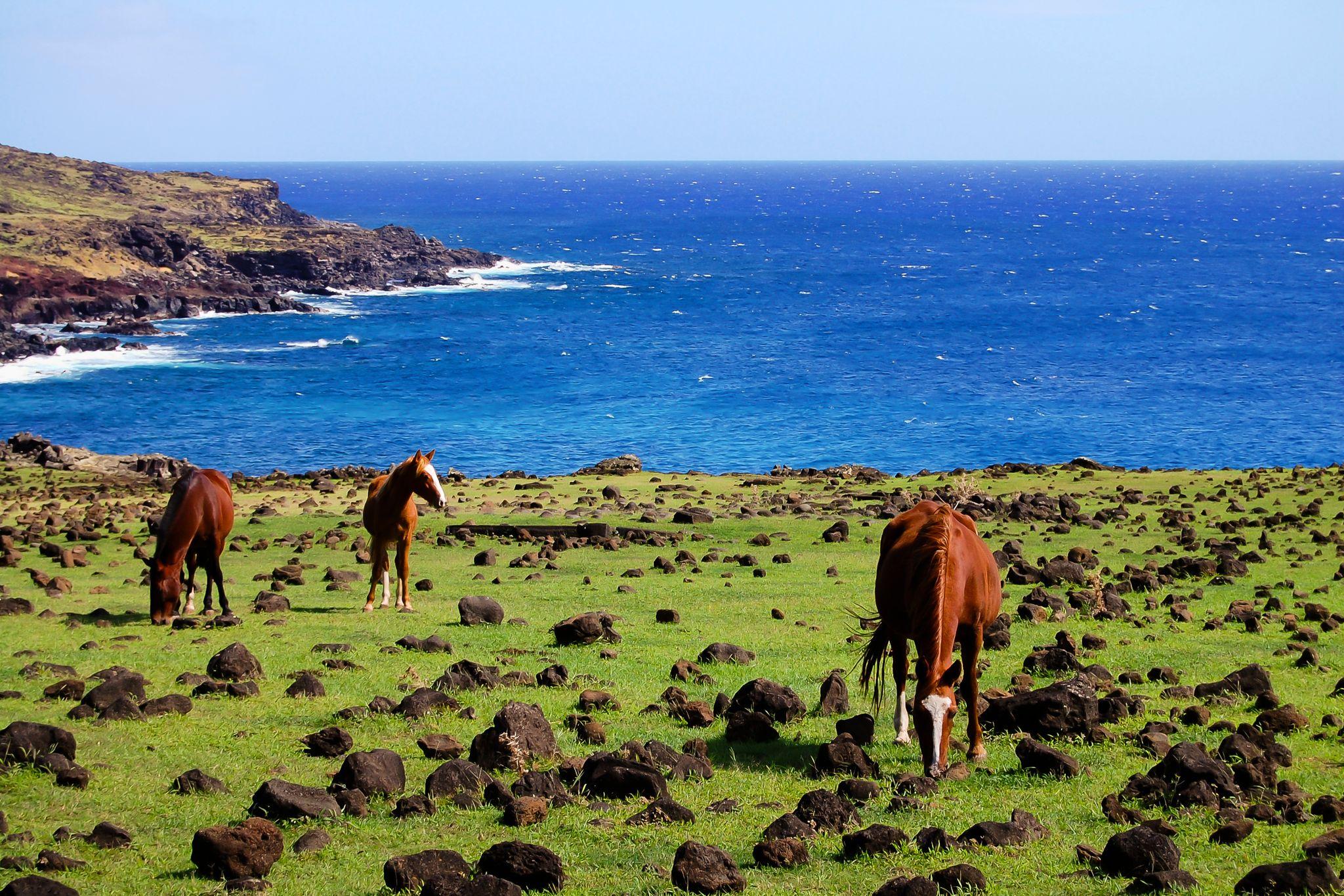 Hangaroa, Easter Island