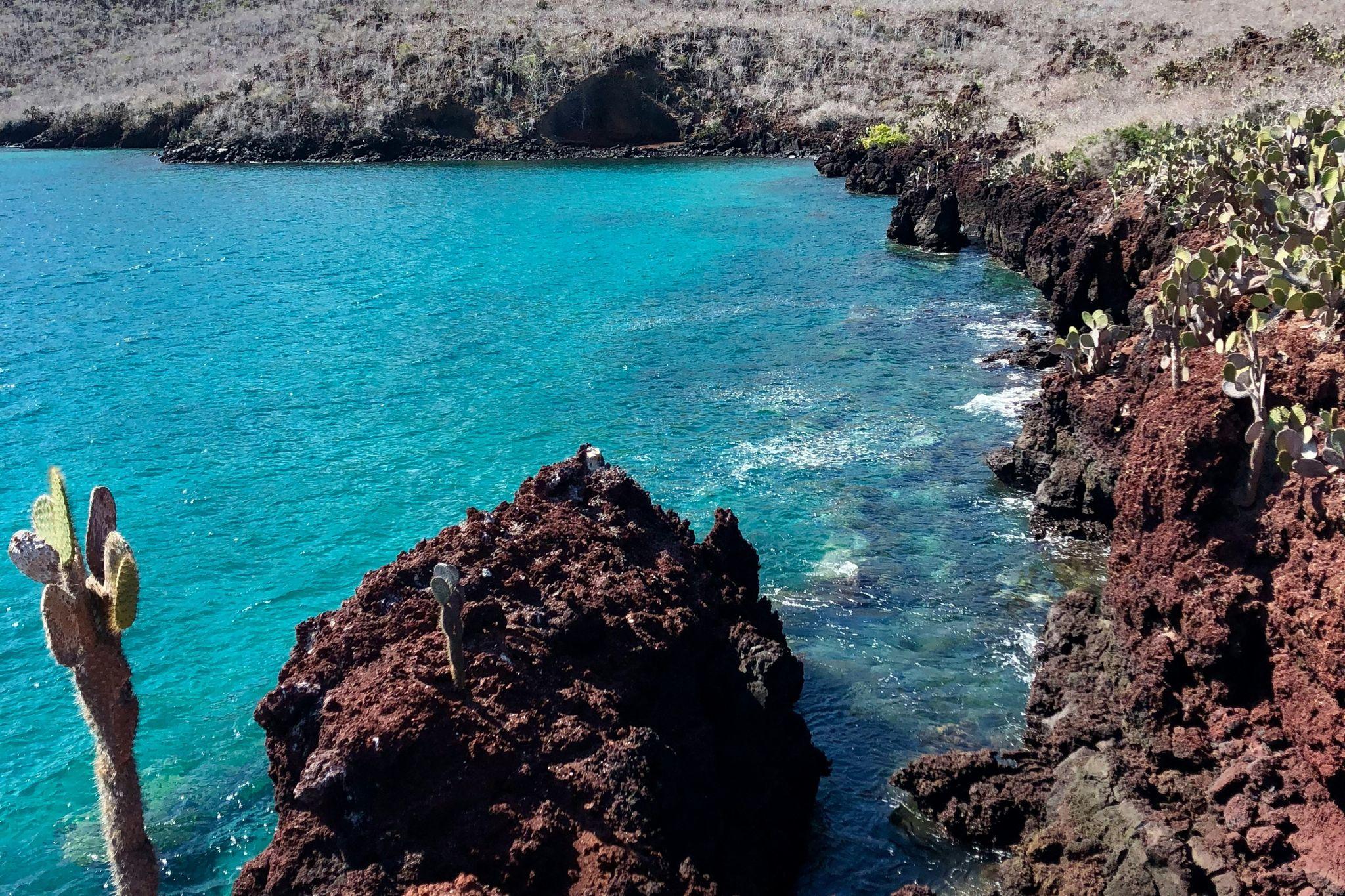 Mosquera Island, Galapagos