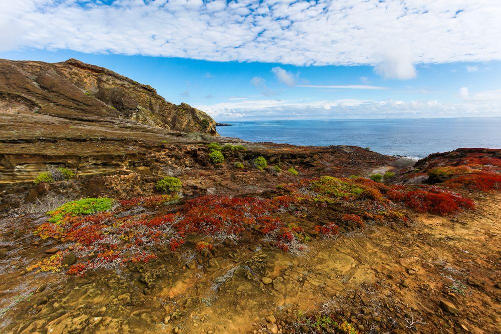 Punta Pitt, San Cristóbal Island, Galápagos