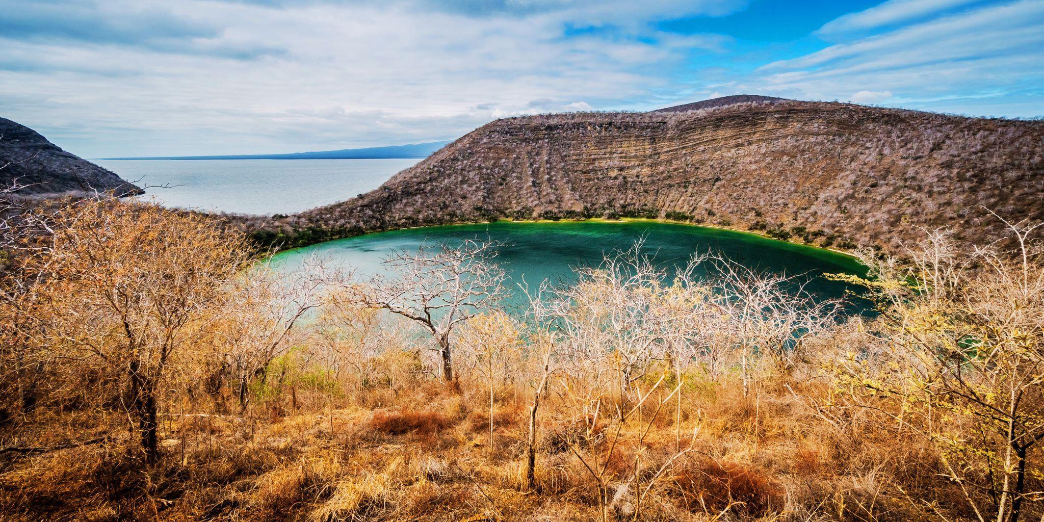 Tagus Cove, Isabella Island, Galapagos