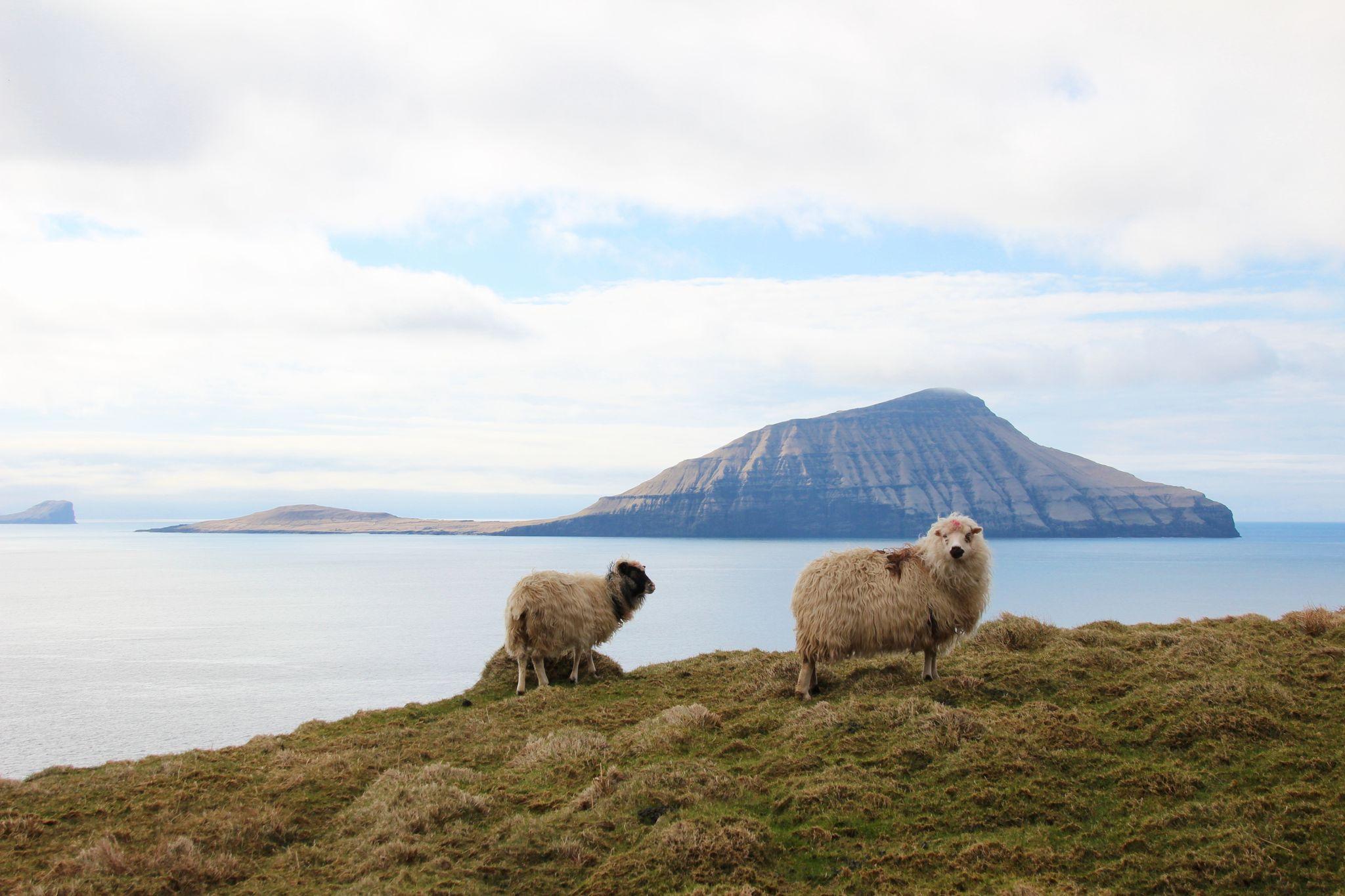 Klaksvik