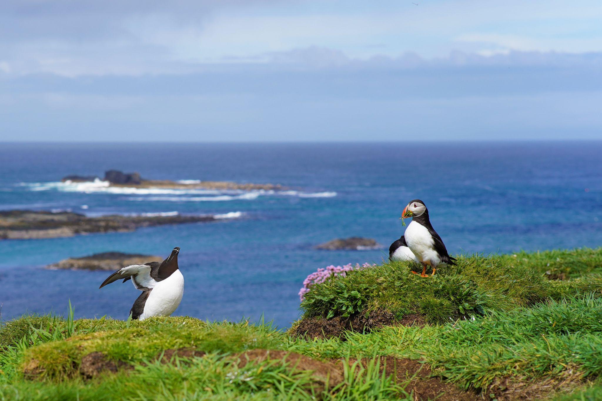 Shiant Isles