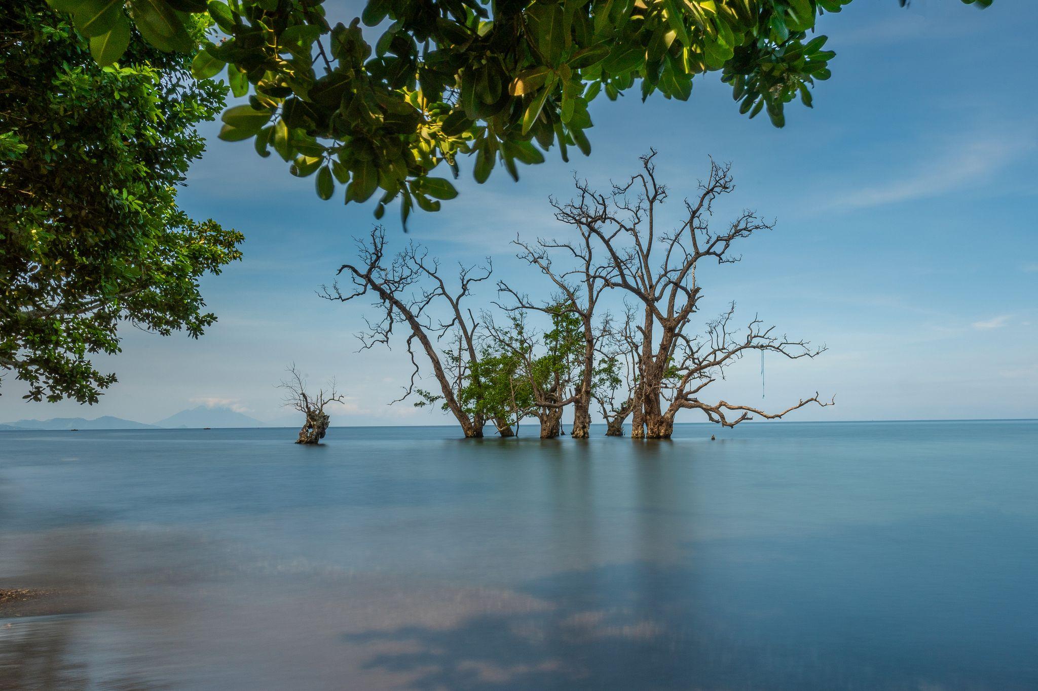 Ternate Island