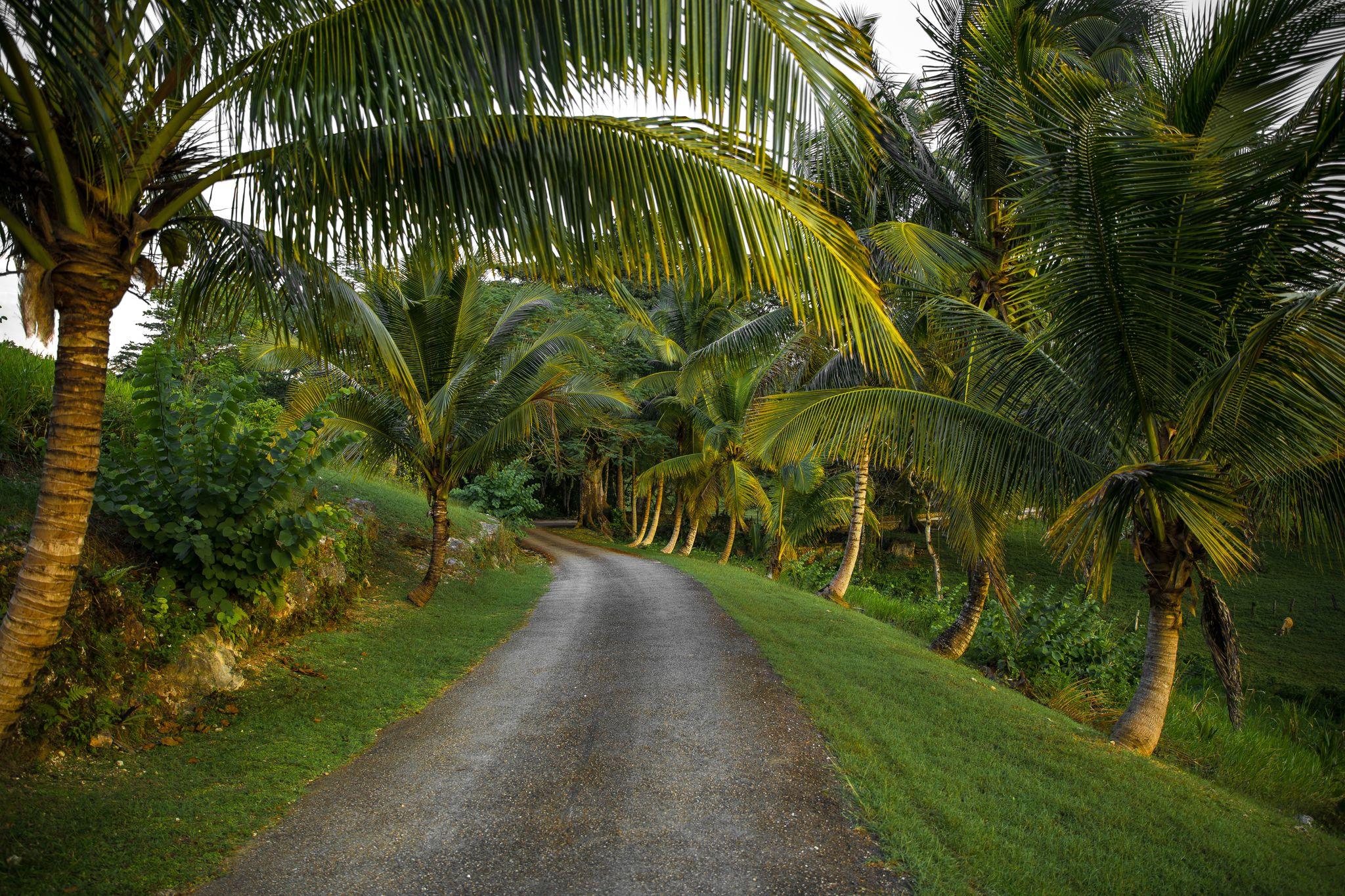 Port Antonio