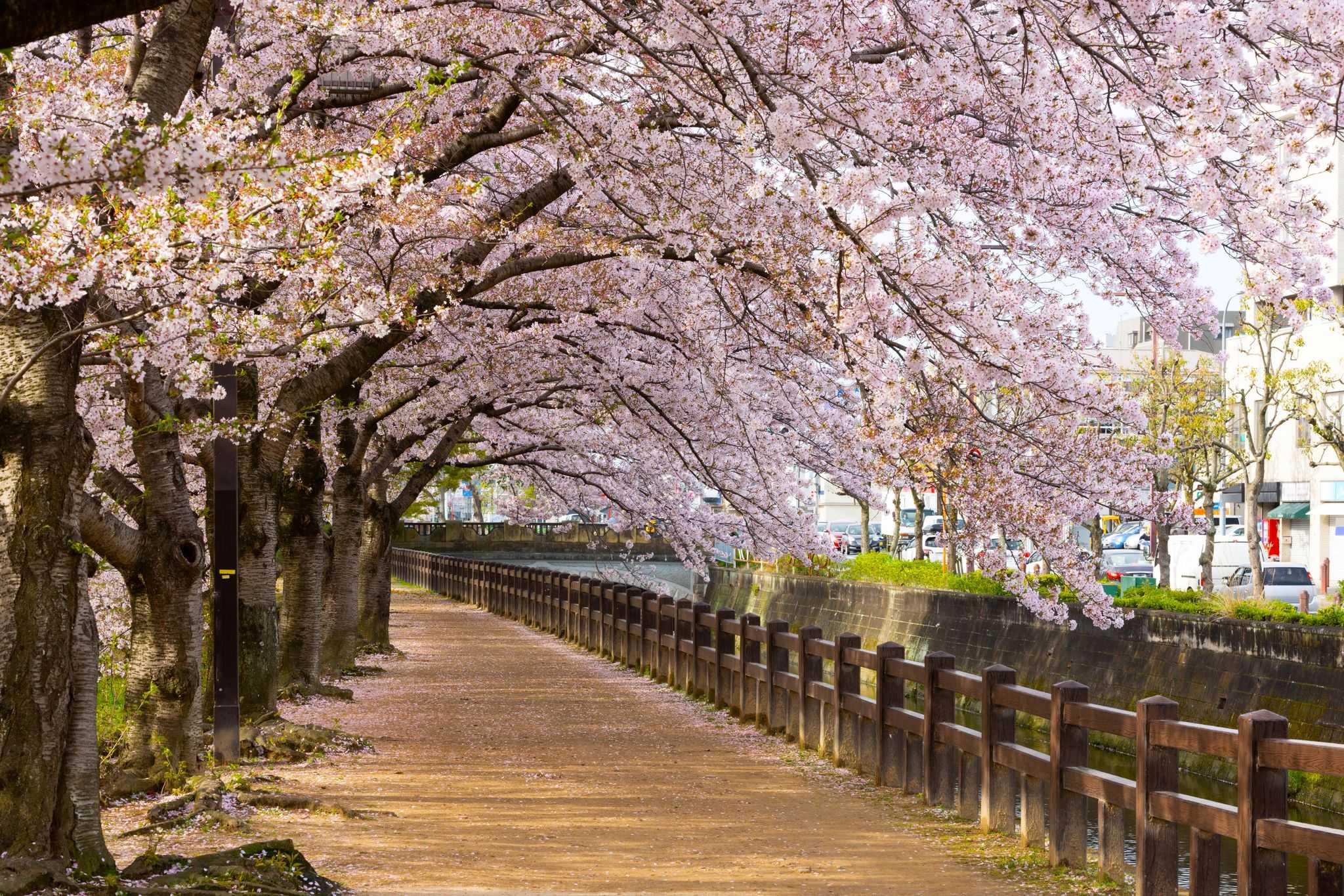 Himeji