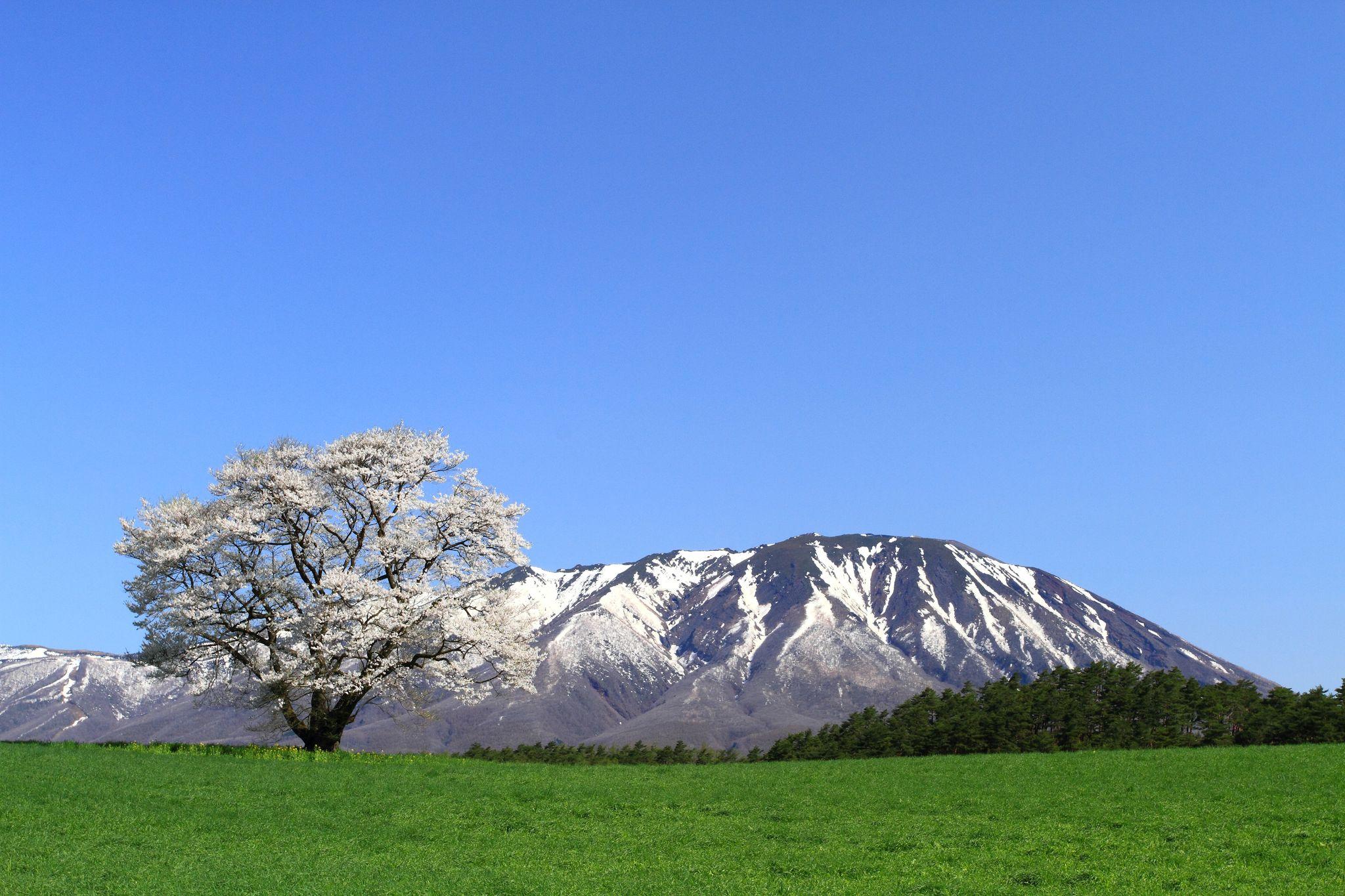 Miyako, Iwate