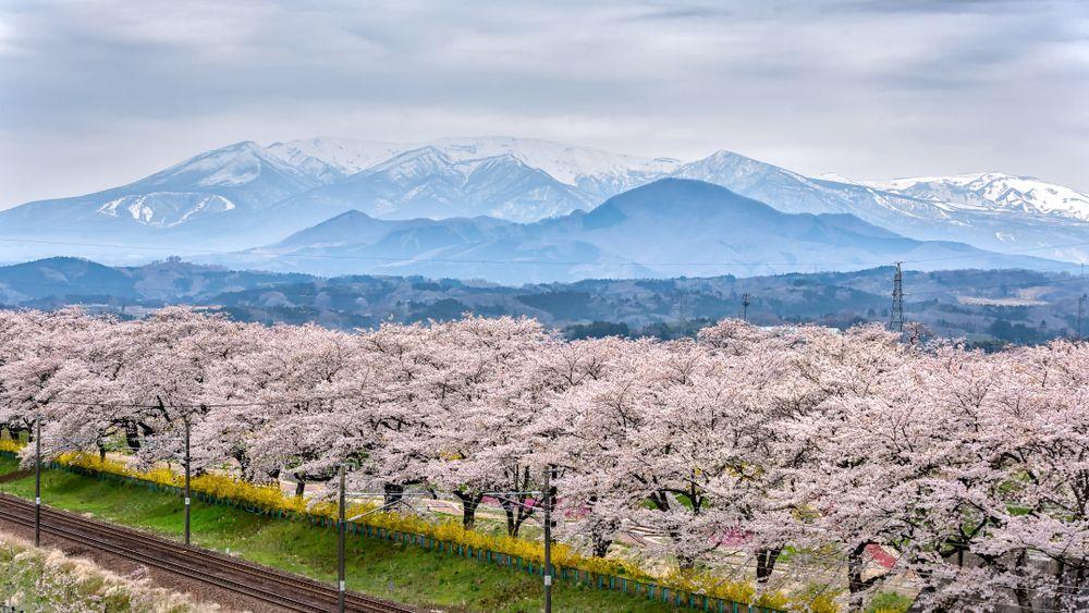 Sendai