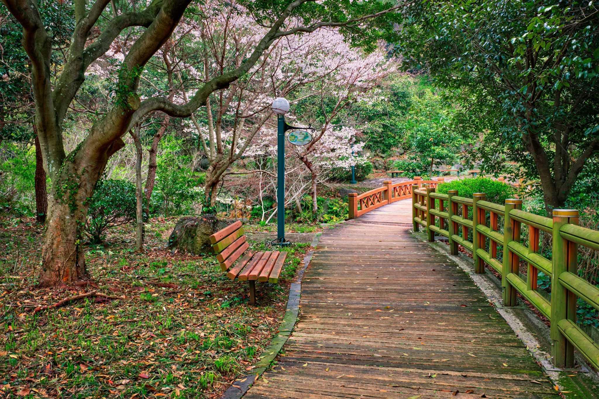 Jeju Island