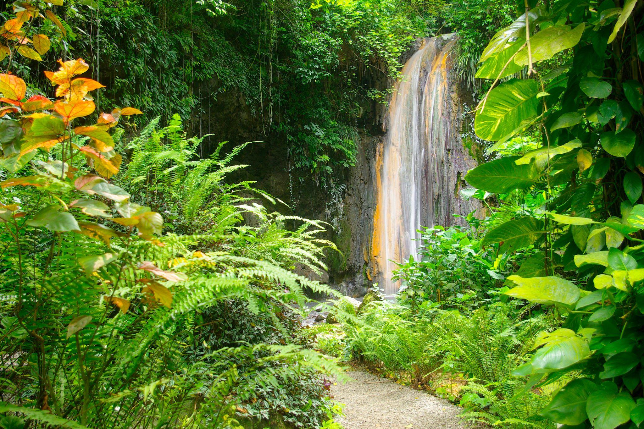 Rodney Bay