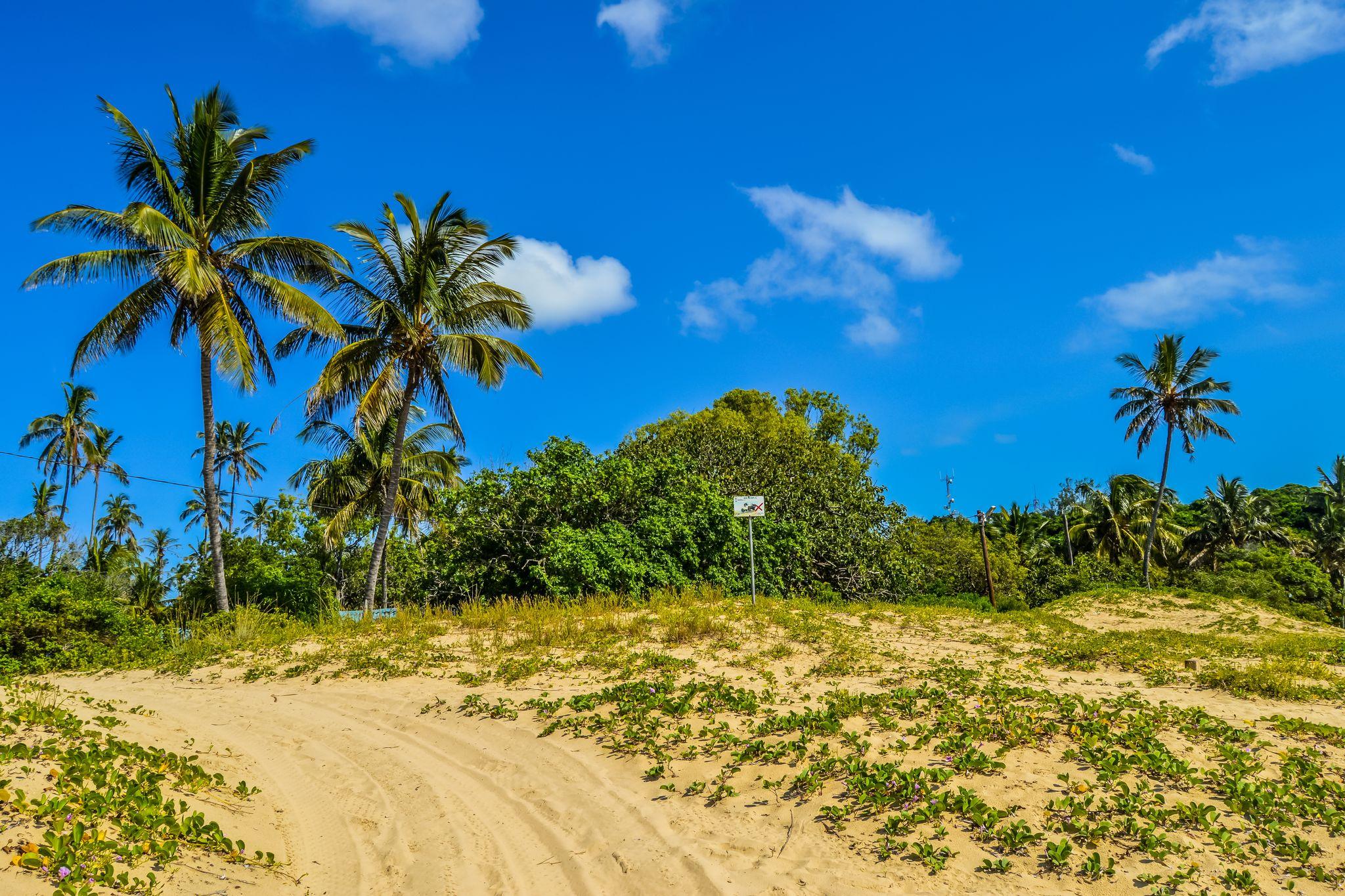 Portuguese Island