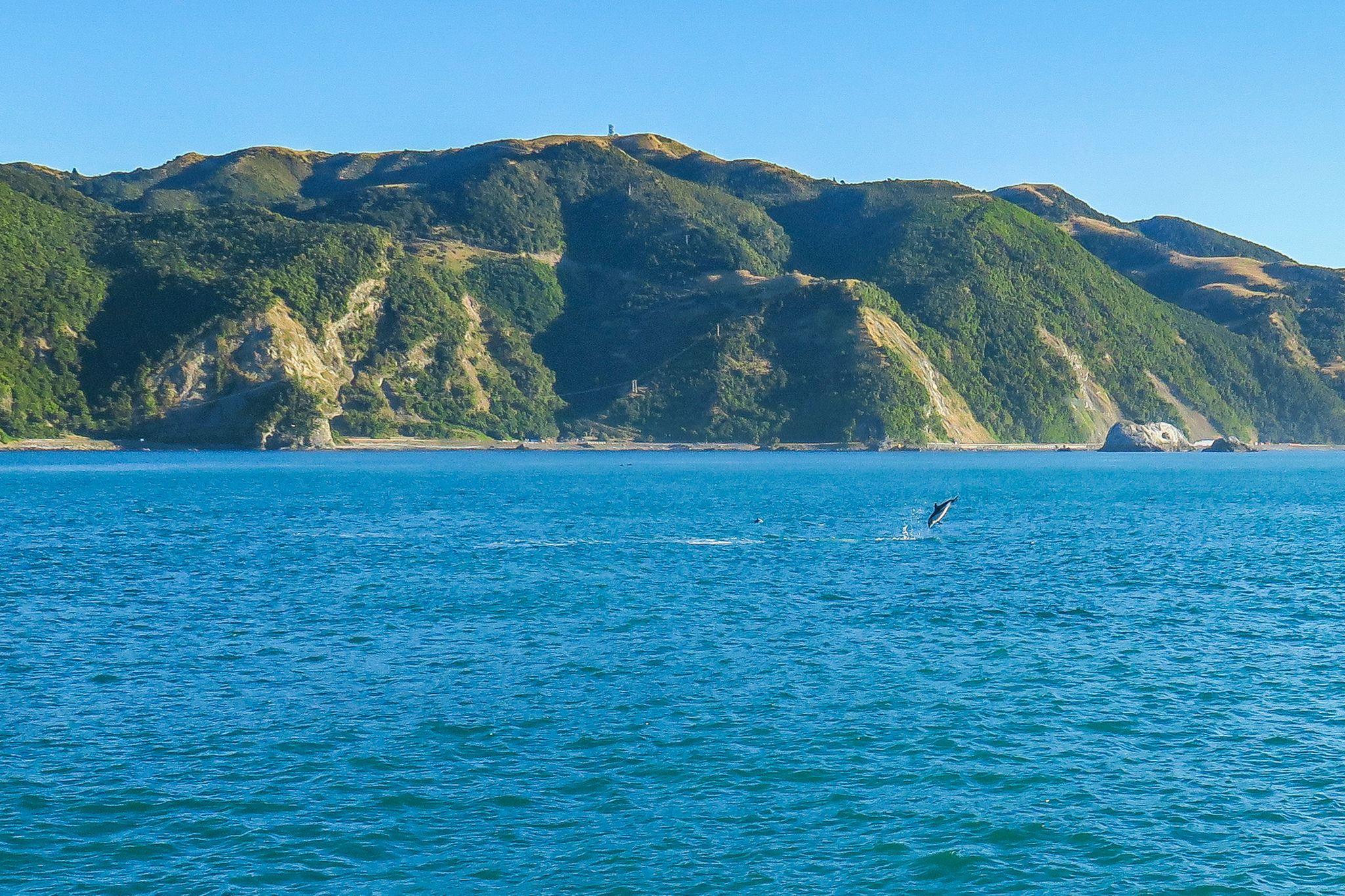 Kaikoura