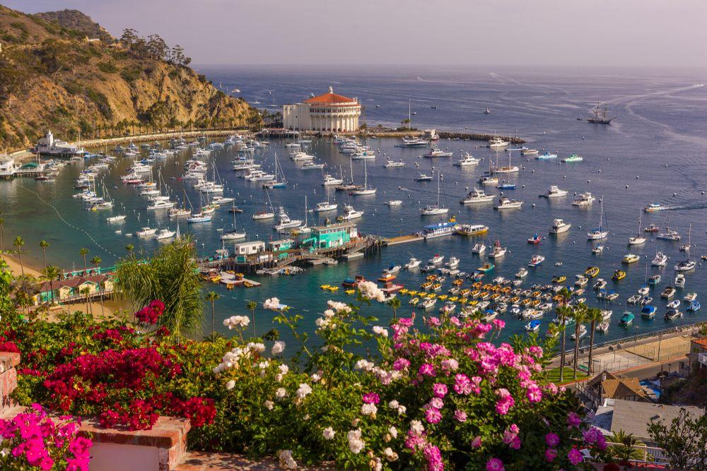 Santa Catalina Island, California