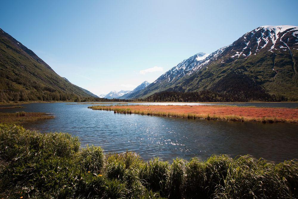 Homer, Alaska