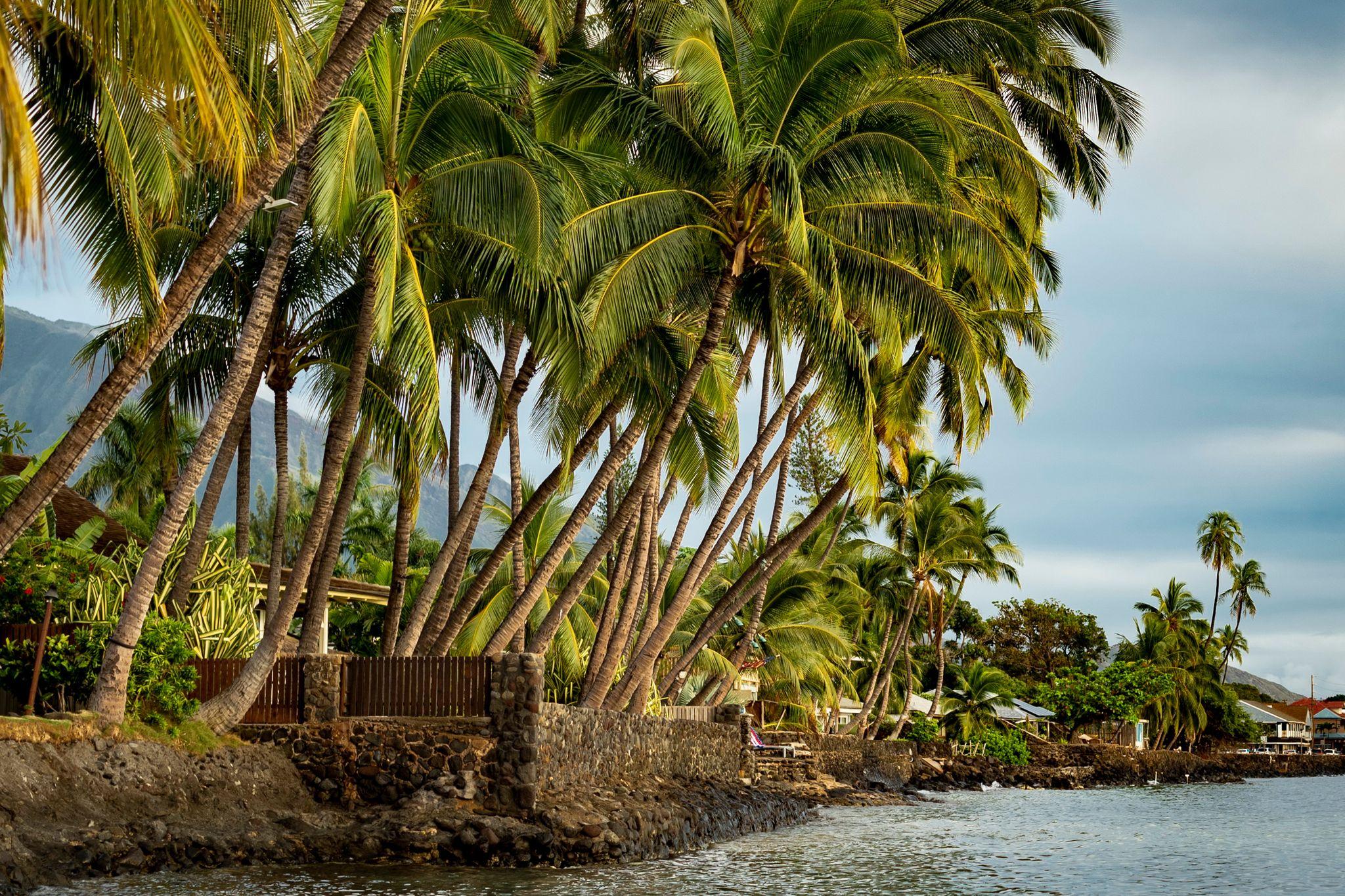 Lahaina, Hawaii