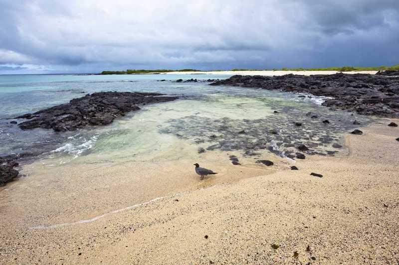 Las Bachas, Santa Cruz Island, Galápagos