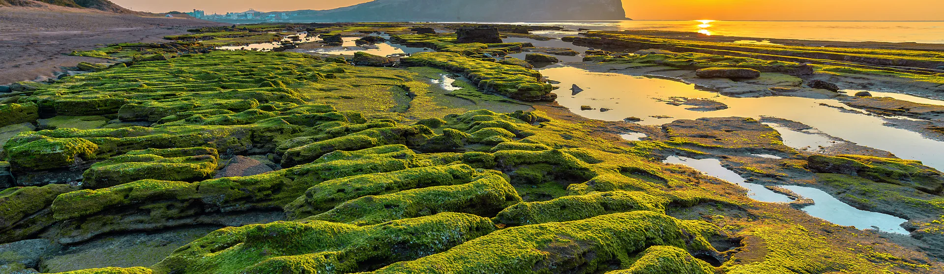 Jeju